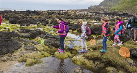 A group of children with nets and back packs Rockpooling at the Giant's Causeway
