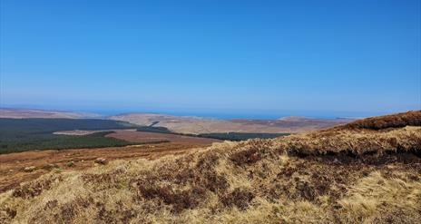 view from Slieveanorra