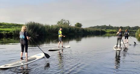 a group of people using stand up paddleboards on the River Roe