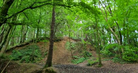 section of waymarked trail through Somerset Forest