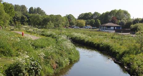 image overlooking the river amongst the greenery and shubbery of the urban parkland and tall trees in background. Outdoor pavilion type building in ba