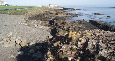 Portrush Nature Reserve