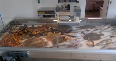 Morton's Fishmongers