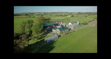 Broughgammon Eco-Farmhouse B&B