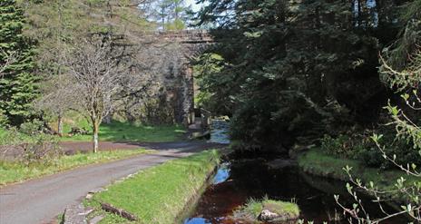 section of trail which passes under a stone bridge in Ballypatrick Forest