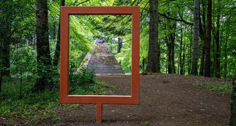 Frame at Garvagh Forest