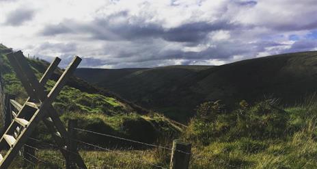 section of walking trail on ronan's way