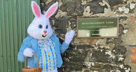 The Easter Bunny poses outside Broughgammon Farm