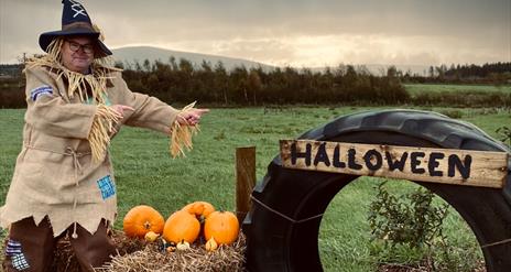 halloweenatthefarmballycastle