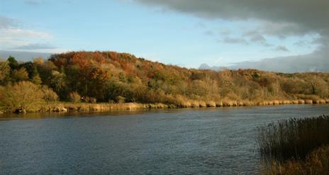 the river bann