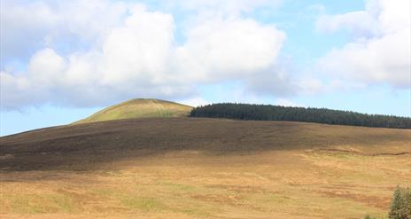 Croaghan mountain