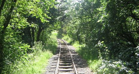 Giant's Causeway and Bushmills Railway