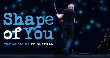 Image shows a man playing a guitar standing with his back to the camera