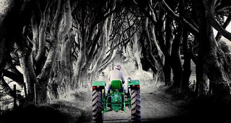 Causeway Coast Tours