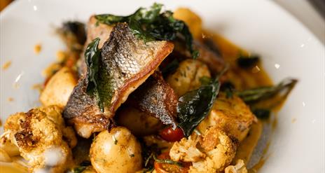 close up of a seafood dish on a plate; pieces of fish, cauliflower, spinach and potatoes are visible