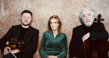 Mary Dillon, Dónal O'Connor, and Neil Martin.