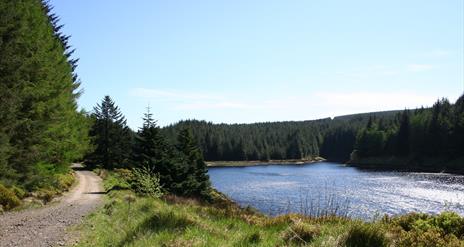 Banagher Glen