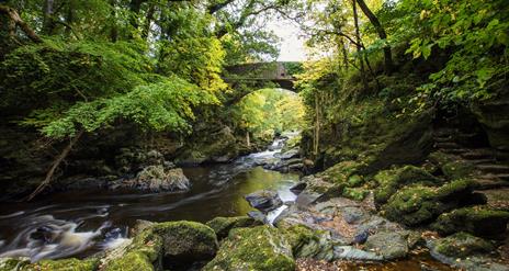 Roe Valley Country Park