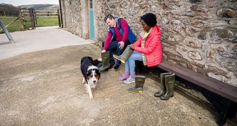 Visitors to Dunfin Sheep Farm get dressed in wellington boots and jackets suitable for being out in the fields