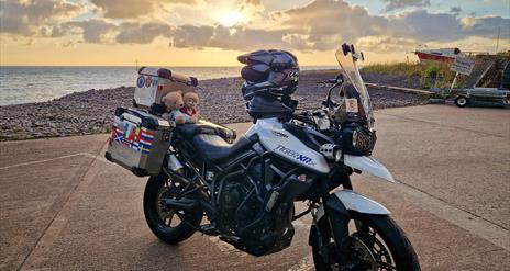 A motorbike on the beach at sunset, with a small bear riding pillion.