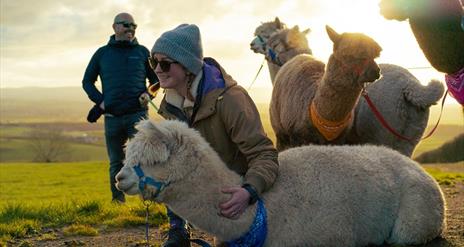 At sunset on a hillside with views to the horizon, a lady wearing a hat, sunglasses and a warm coat has her arm around the neck of an alpaca who is re