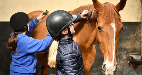 2 girls are brushing a horse