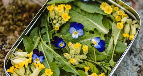 A metal tray full of various plants and flowers, mostly purple and yellow.