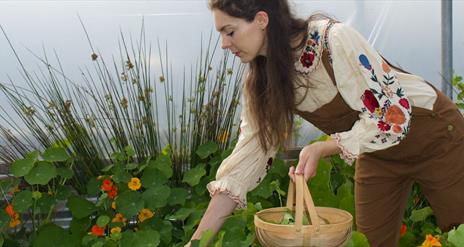 a person holds a wicker basket while reaching for plants