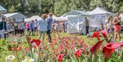 Busy Benone Artisan Market