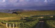 a view of fairhead cliff face from a walking trail on rathlin island