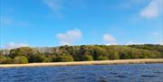 image of river with tree and shrub lined shoreline in background