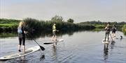 a group of people using stand up paddleboards on the River Roe