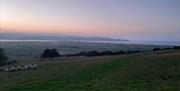 view over Lough Foyle and Donegal from Binevenagh at sunset. There is a herd of sheep in a field.