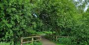 section of waymarked trail through Somerset Forest