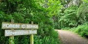 forest service signage at Movanagher Wood