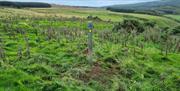 a trail marker in a field on the Ulster Way