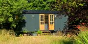 Curlew Hut nestled in trees and meadow