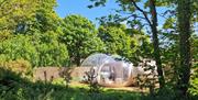 view of bubble dome premium "Cromie Suite"