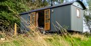 Sundew Hut with grass seed heads in foreground