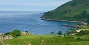 Murlough Bay on the Causeway Coast - a large sloping hillside surrounded by green fields and the Atlantic Ocean