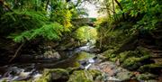 the river roe flows under a bridge through the roe valley country park