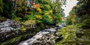 the river roe runs through roe valley country park