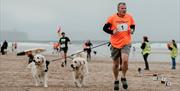 a man running on the beach with two dogs