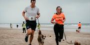 people run a race with their dogs on the beach