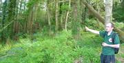 a man in a forest, gesturing to the trees behind him