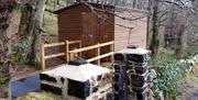 Red Squirrel Hide