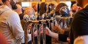 Draught taps at Portrush Beer Festival
