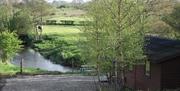 View as you approach from the stone lane, of the back of the cabin nestled in birch trees, and the river bend in front, with horses grazing in the fie