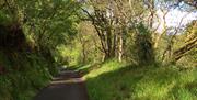 Banagher Glen