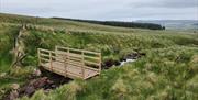 a wooden footbridge on a section of the Ulster Way trail